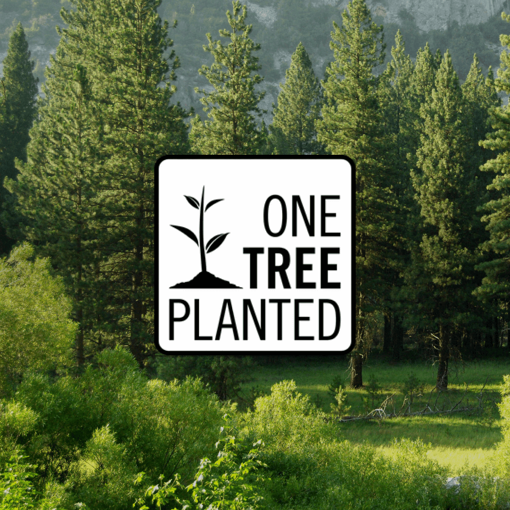 Donnation pour planter un ARBRE