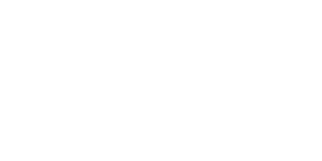 ROYAL PRO